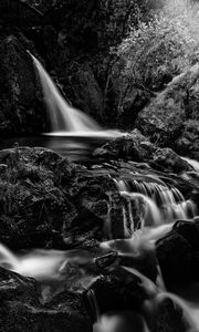 Preview wallpaper waterfall, cascade, stones, trees, black and white