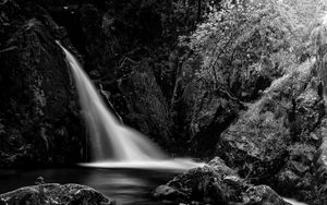 Preview wallpaper waterfall, cascade, stones, trees, black and white