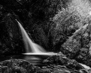 Preview wallpaper waterfall, cascade, stones, trees, black and white