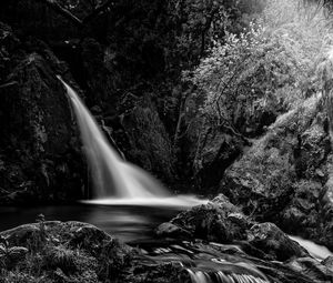 Preview wallpaper waterfall, cascade, stones, trees, black and white