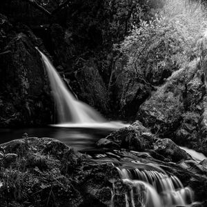 Preview wallpaper waterfall, cascade, stones, trees, black and white