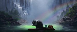 Preview wallpaper waterfall, cat, rainbow, travel, wash