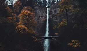 Preview wallpaper waterfall, cliff, bridge, trees, water