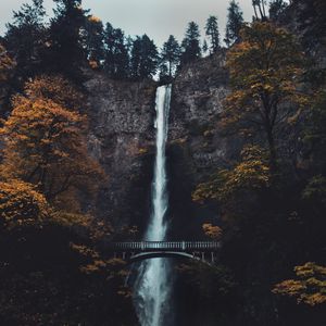 Preview wallpaper waterfall, cliff, bridge, trees, water