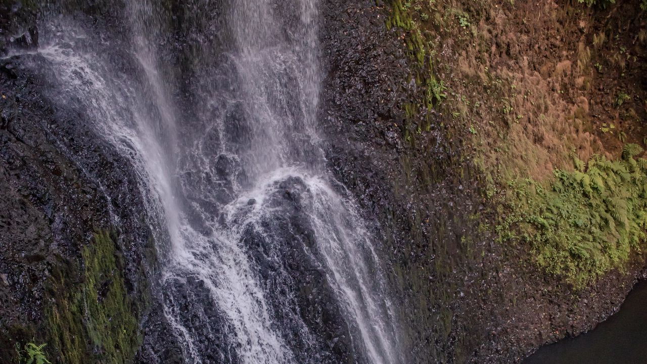 Wallpaper waterfall, cliff, ferns, nature