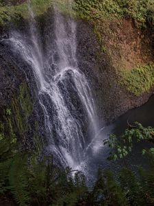 Preview wallpaper waterfall, cliff, ferns, nature