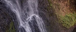 Preview wallpaper waterfall, cliff, ferns, nature