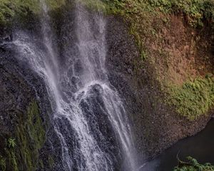 Preview wallpaper waterfall, cliff, ferns, nature