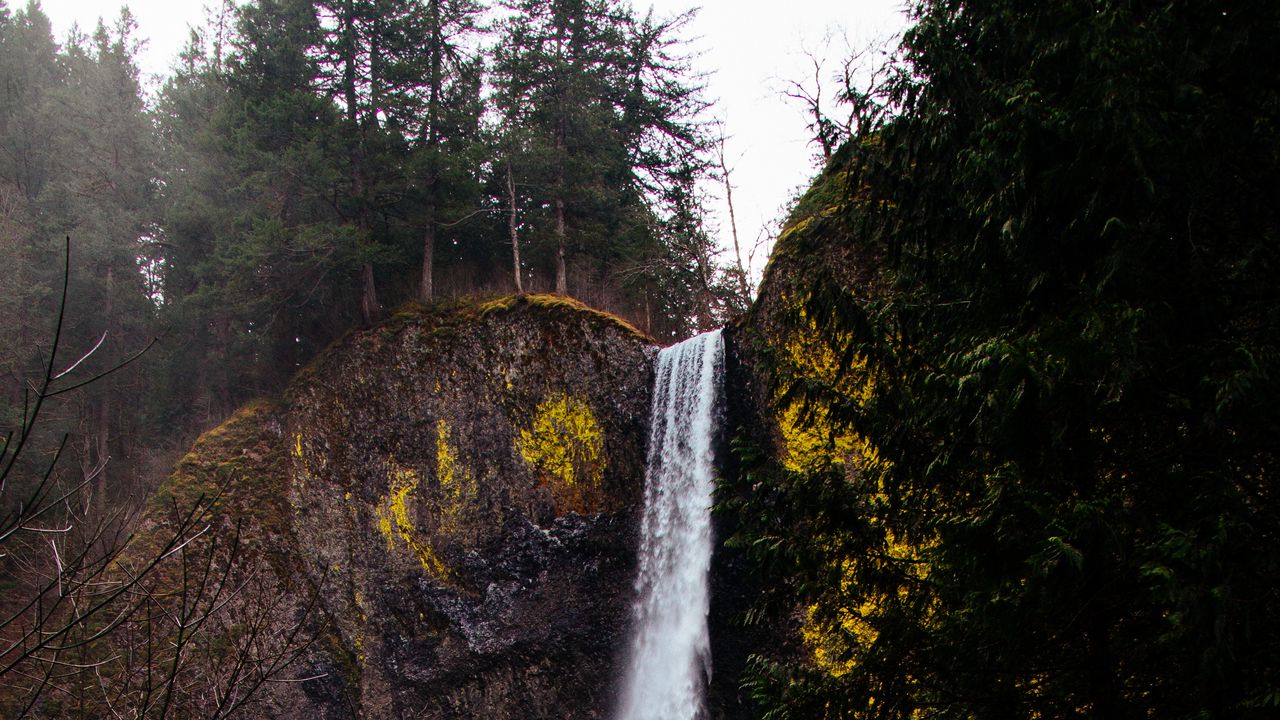 Wallpaper waterfall, cliff, flow, trees, moss, grass