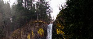 Preview wallpaper waterfall, cliff, flow, trees, moss, grass