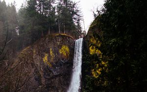 Preview wallpaper waterfall, cliff, flow, trees, moss, grass