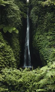 Preview wallpaper waterfall, cliff, greenery, vegetation, nature