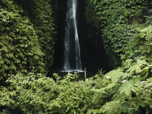 Preview wallpaper waterfall, cliff, greenery, vegetation, nature