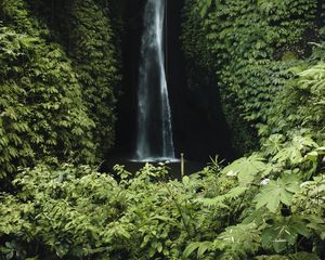 Preview wallpaper waterfall, cliff, greenery, vegetation, nature