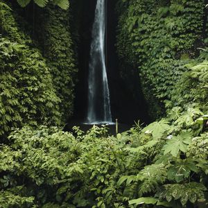 Preview wallpaper waterfall, cliff, greenery, vegetation, nature