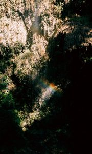 Preview wallpaper waterfall, cliff, rainbow, vegetation, jungle