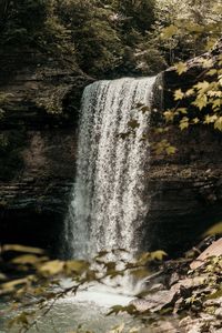 Preview wallpaper waterfall, cliff, stream, forest, nature