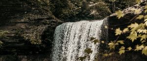 Preview wallpaper waterfall, cliff, stream, forest, nature
