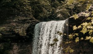 Preview wallpaper waterfall, cliff, stream, forest, nature