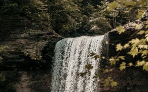 Preview wallpaper waterfall, cliff, stream, forest, nature