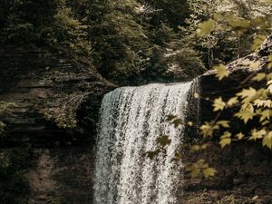 Preview wallpaper waterfall, cliff, stream, forest, nature