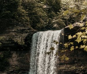 Preview wallpaper waterfall, cliff, stream, forest, nature