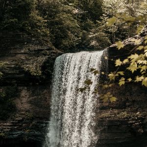 Preview wallpaper waterfall, cliff, stream, forest, nature