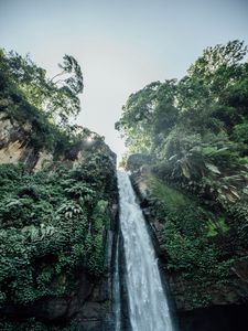 Preview wallpaper waterfall, cliff, trees, bushes, vegetation