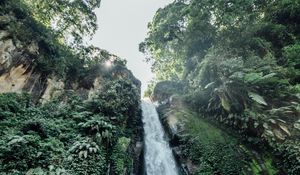 Preview wallpaper waterfall, cliff, trees, bushes, vegetation