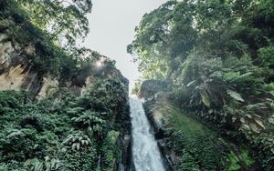 Preview wallpaper waterfall, cliff, trees, bushes, vegetation