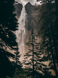 Preview wallpaper waterfall, cliff, trees, water, rock