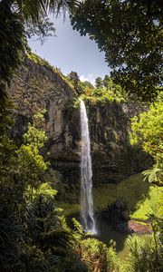 Preview wallpaper waterfall, cliff, trees, vegetation, nature