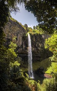 Preview wallpaper waterfall, cliff, trees, vegetation, nature