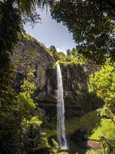 Preview wallpaper waterfall, cliff, trees, vegetation, nature