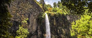 Preview wallpaper waterfall, cliff, trees, vegetation, nature