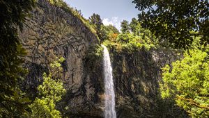 Preview wallpaper waterfall, cliff, trees, vegetation, nature
