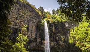 Preview wallpaper waterfall, cliff, trees, vegetation, nature