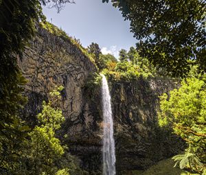 Preview wallpaper waterfall, cliff, trees, vegetation, nature