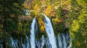 Preview wallpaper waterfall, cliff, trees, branches
