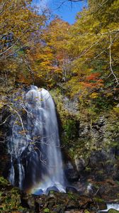Preview wallpaper waterfall, cliff, trees, stones, water