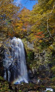 Preview wallpaper waterfall, cliff, trees, stones, water