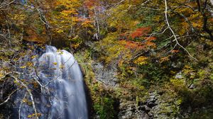 Preview wallpaper waterfall, cliff, trees, stones, water