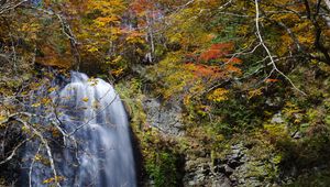 Preview wallpaper waterfall, cliff, trees, stones, water