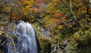 Preview wallpaper waterfall, cliff, trees, stones, water