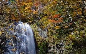 Preview wallpaper waterfall, cliff, trees, stones, water