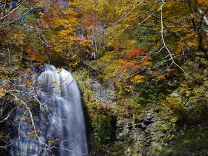 Preview wallpaper waterfall, cliff, trees, stones, water