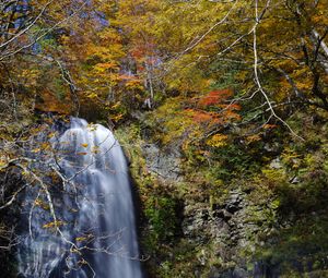 Preview wallpaper waterfall, cliff, trees, stones, water