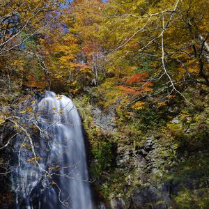 Preview wallpaper waterfall, cliff, trees, stones, water