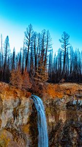 Preview wallpaper waterfall, cliff, trees, forest, landscape