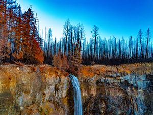Preview wallpaper waterfall, cliff, trees, forest, landscape